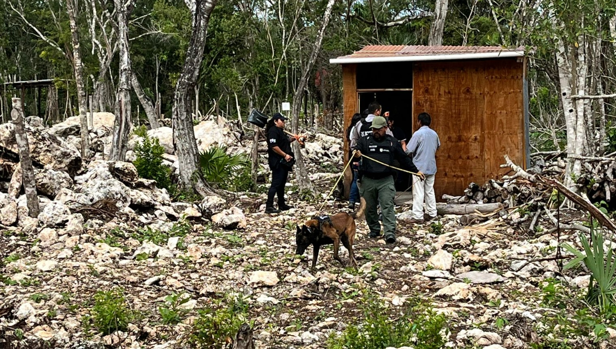 Reportan posible fosa clandestina en la Región 242 en Cancún