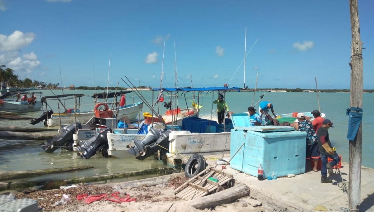 Productos del mar encarecieron por la Cuaresma en Sabancuy, Campeche