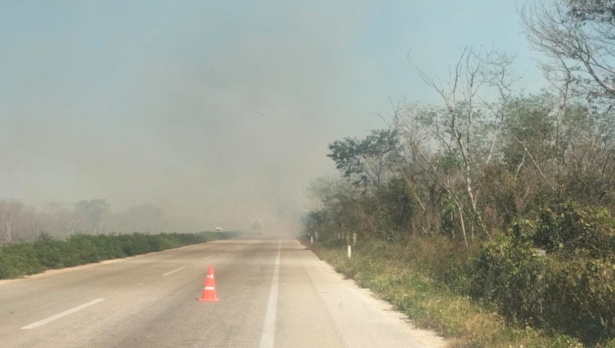 Colilla de cigarro causa incendio en la carretera Mérida-Motul