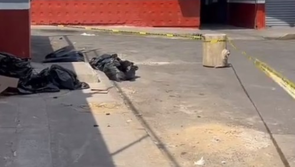 Hallan bolsas con animales decapitados en la Ciudad de México