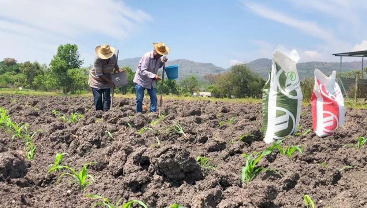 Secretaría de Agricultura anuncia inversión por 680 mdp para productores de Michoacán y Coahuila