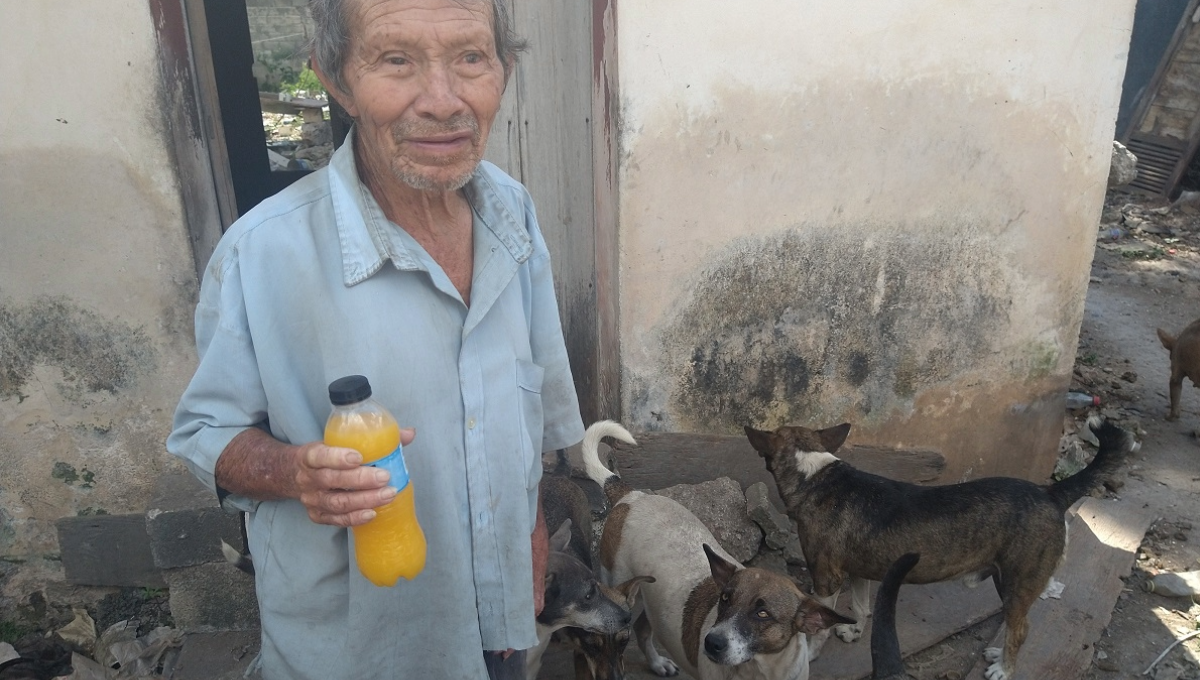 Abuelito es protegido de ladrones por 40 perros en Tizimín