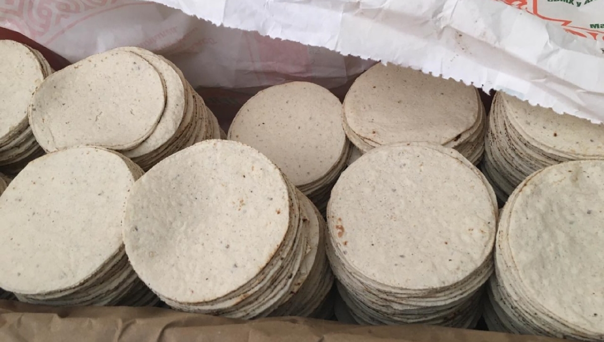 Precio de la tortilla en Ciudad del Carmen subiría hasta los 30 pesos en febrero