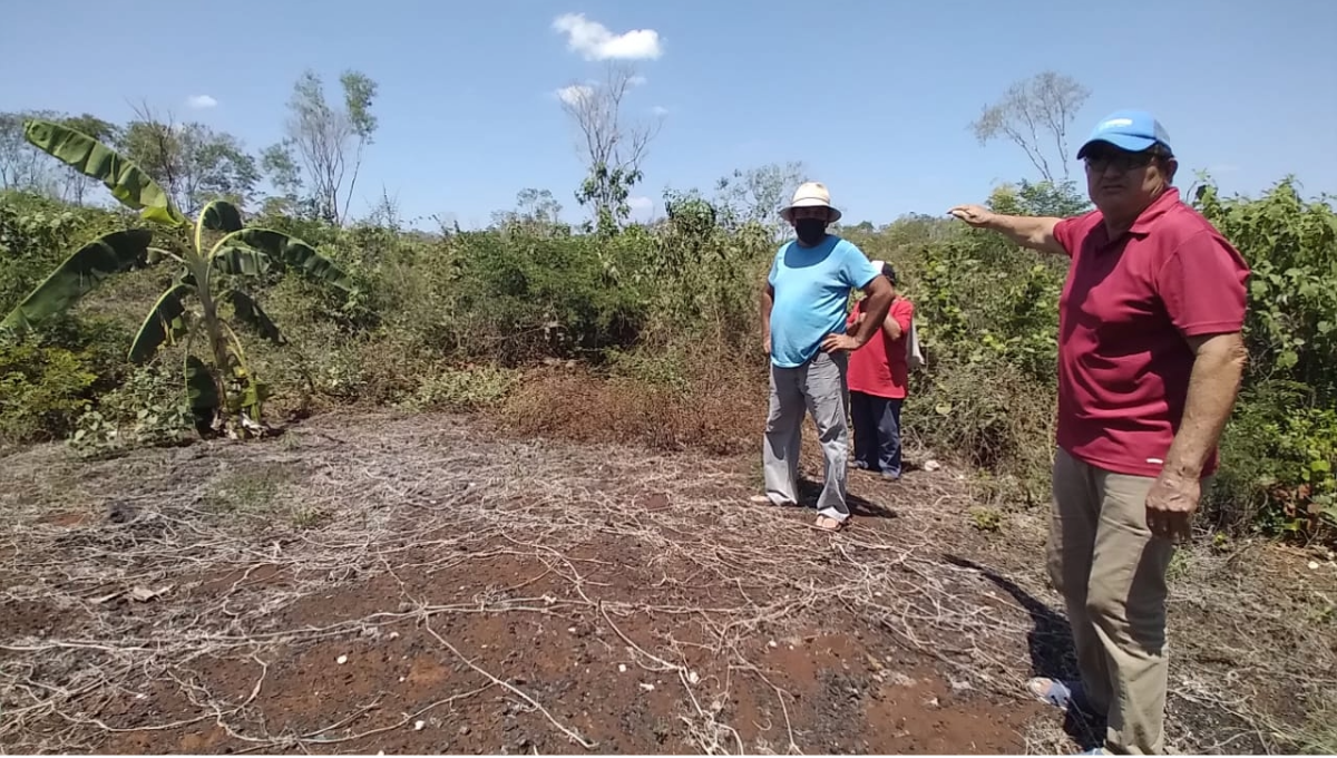 Tan solo el primer cuatrimestre del año pasado hubo 14 incendios forestales en Yucatán