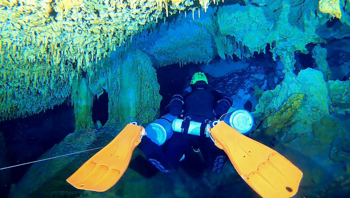 Hallan cueva en Cozumel con especies acuáticas exclusivas