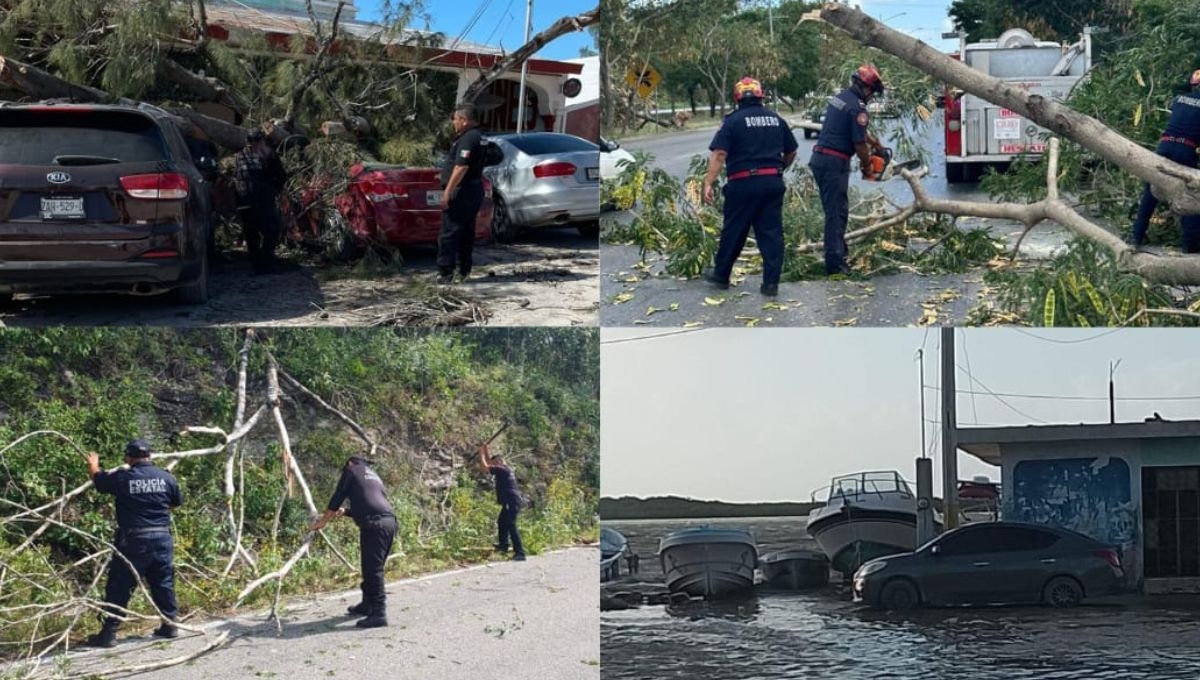 La SSP Yucatán atendió múltiples emergencias por el Frente Frío 32 en Yucatán