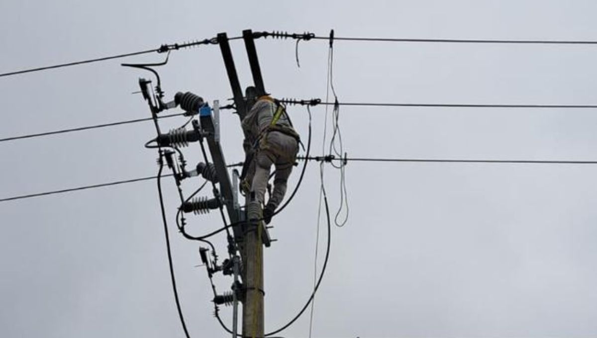 CFE reestablece electricidad a usuarios afectados por vientos en la Península de Yucatán