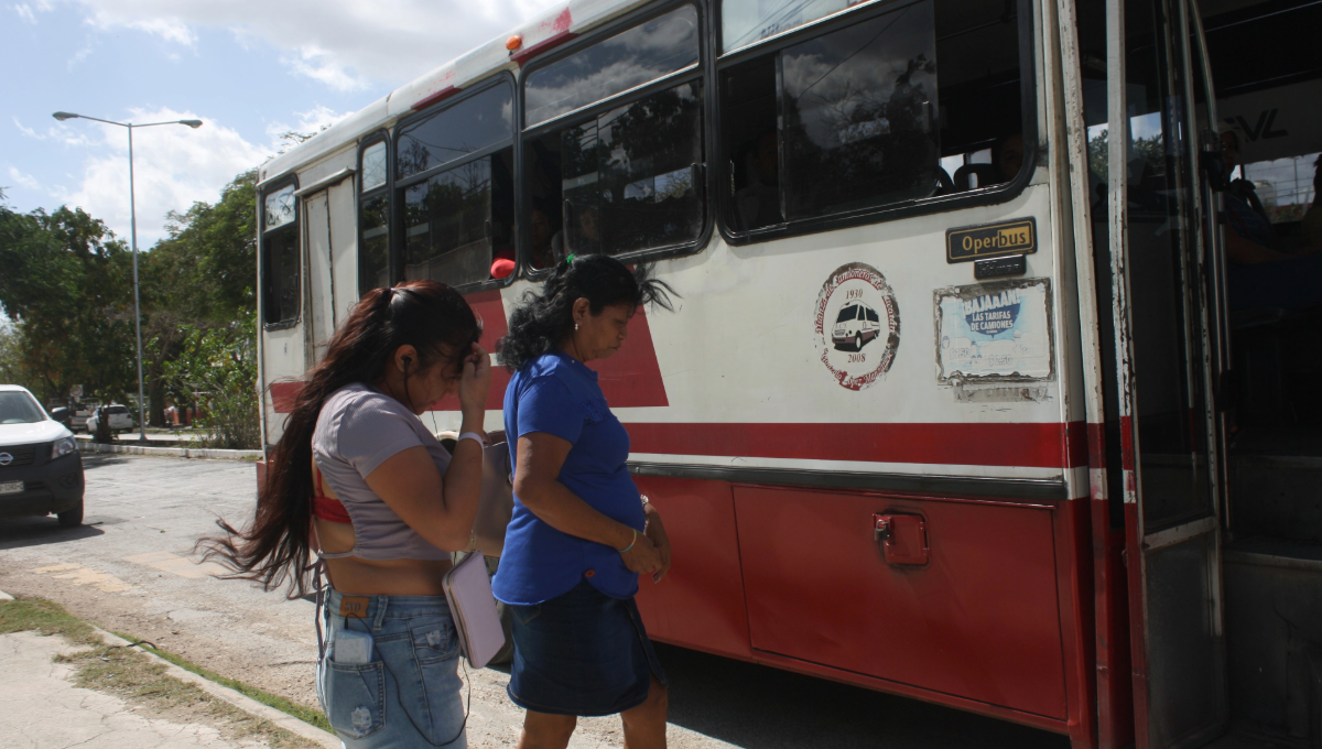 Autobuses de la Alianza de Camioneros de Yucatán continúan prestando servicio