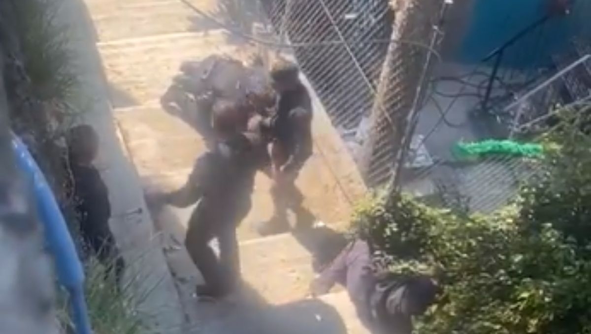 Policías resultan heridos durante balacera en Naucalpan, Estado de México: VIDEO