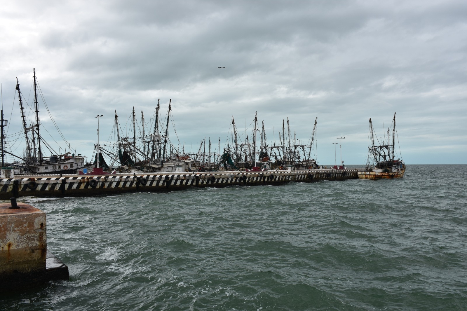 Familiares piden búsqueda de pescador que cayó de un barco en Campeche