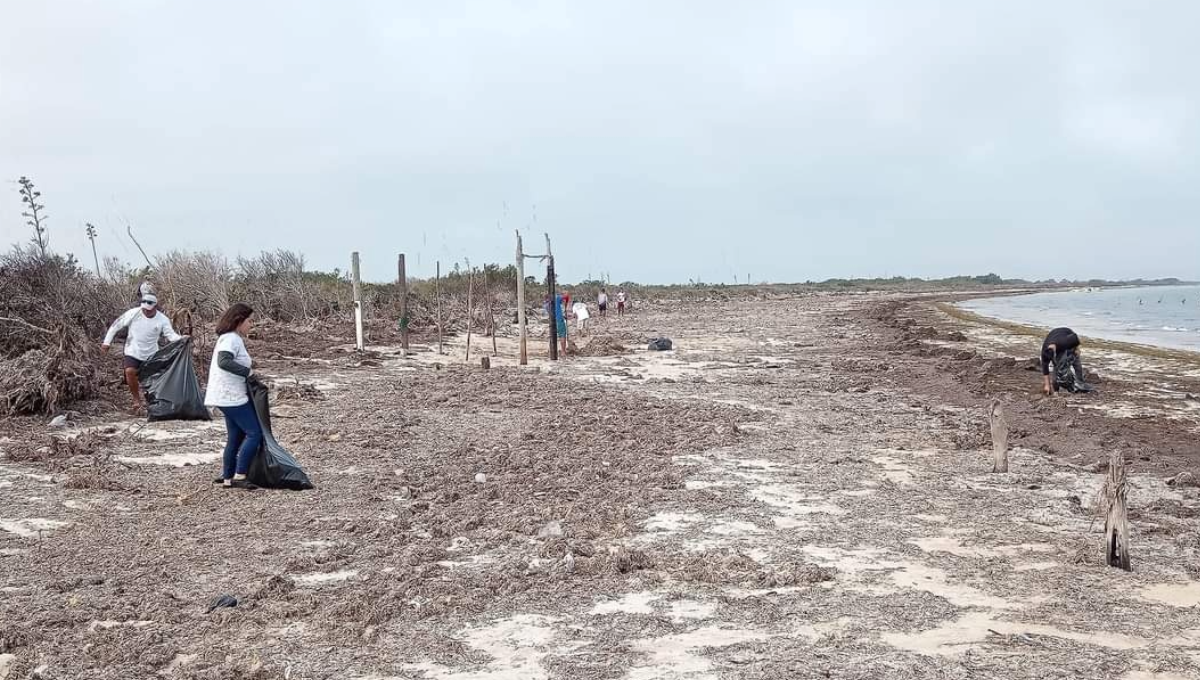 Ciudadanos se suman para limpiar las playas de Río Lagartos, Yucatán