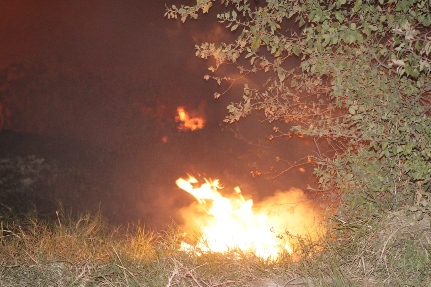 Colilla de cigarro causa incendio de un terreno en Progreso