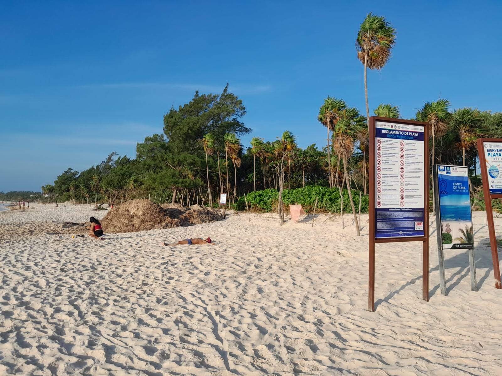 Playa del Carmen pierde una zona de playa; Semarnat se la entrega a la CFE