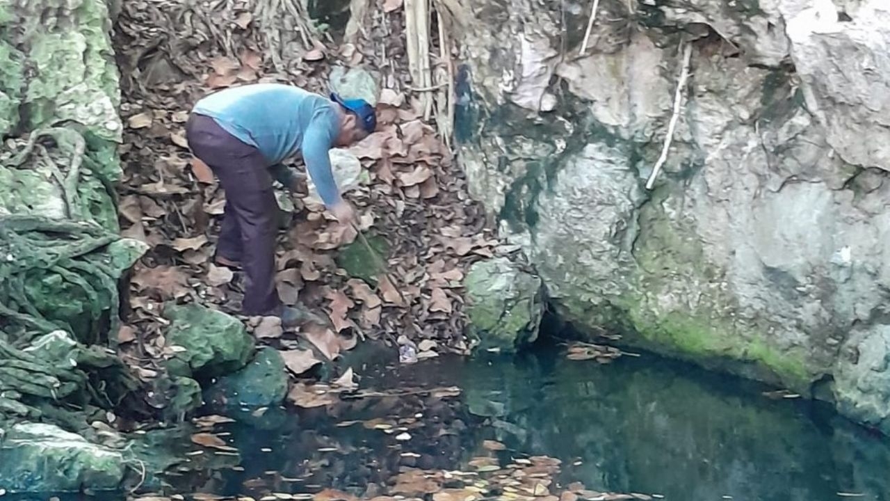 Cenotes de Yucatán 'vomitan' hasta cinco toneladas de basura al año