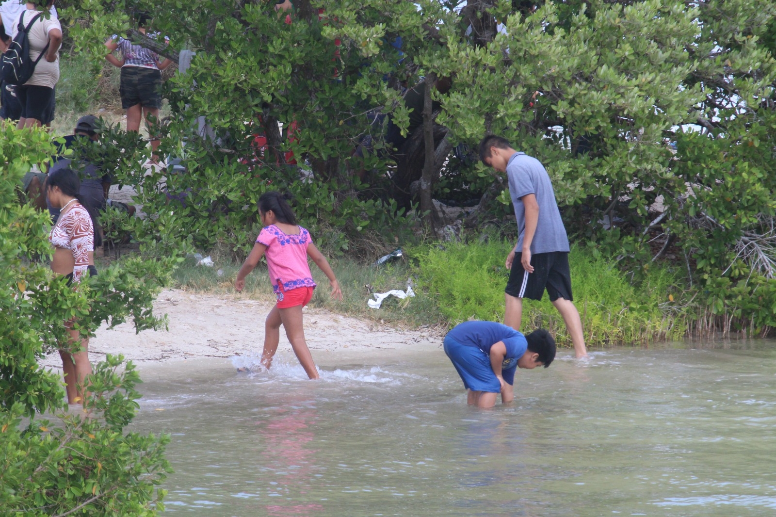 Pobladores alertan a turistas por nadar con cocodrilos en los manglares de Chabihau