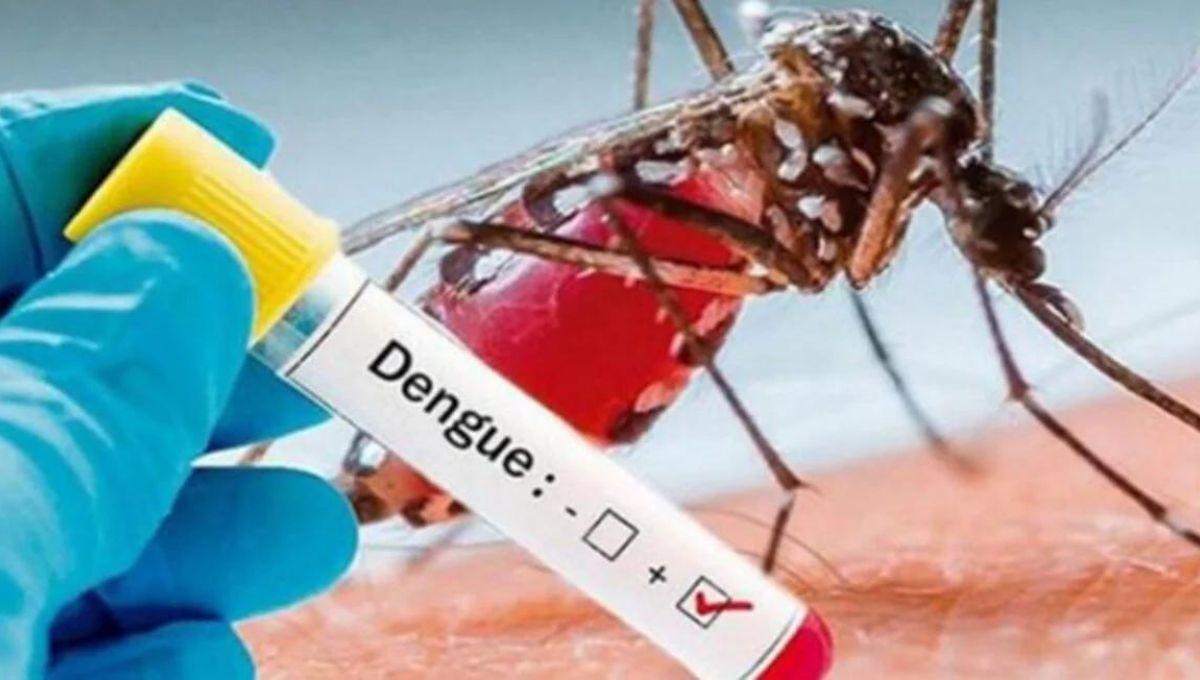 Mueren tres personas por dengue en Ciudad del Carmen, Campeche