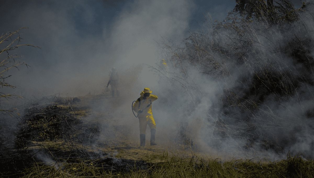 CAMe advierte que Incendios forestales en el Valle de México elevan niveles de contaminación