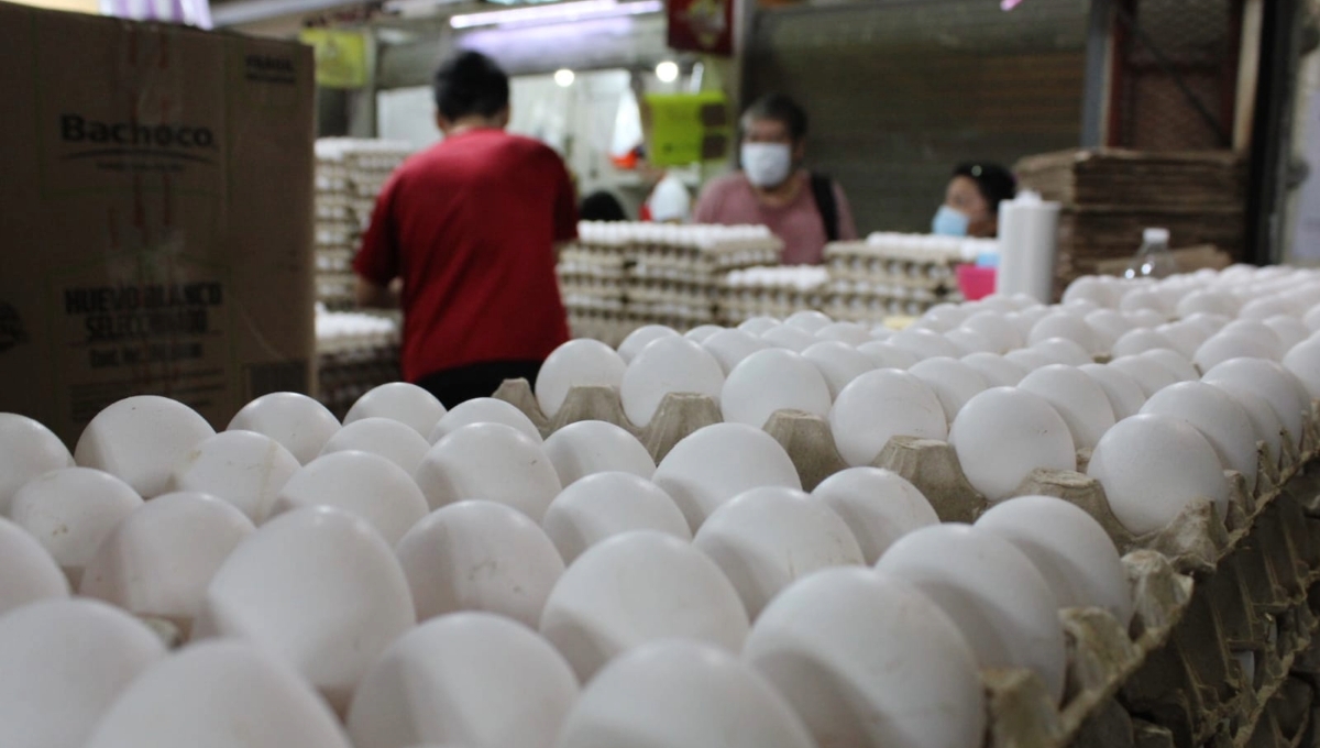 Locatarios de Campeche aseguran que la reja de huevo alcanzaría hasta los 90 pesos