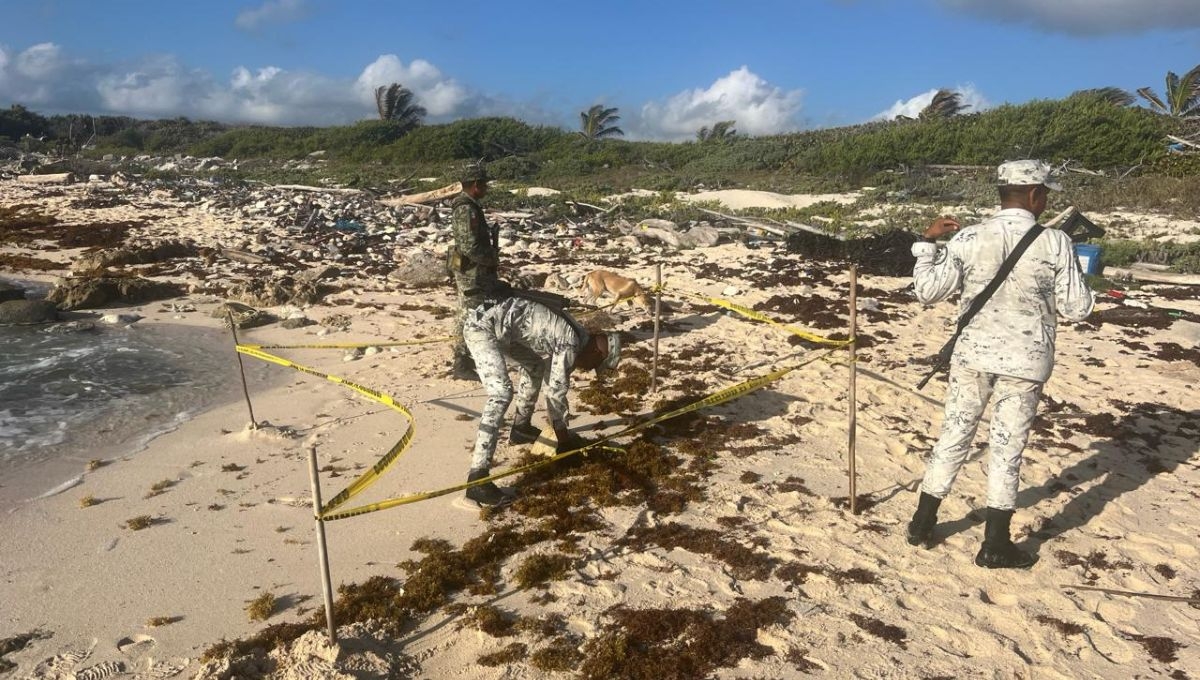 Aseguran cuatro kilos de marihuana en playas de Cozumel