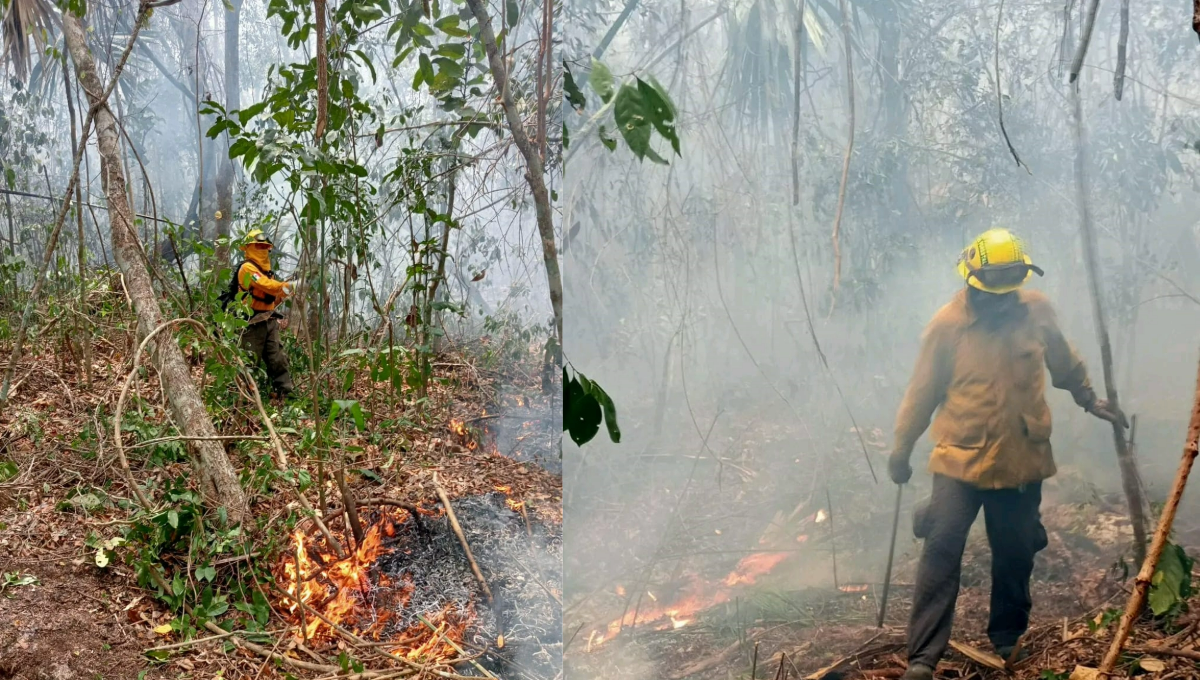 Incendio forestal en Playa del Carmen consumió 75 hectáreas