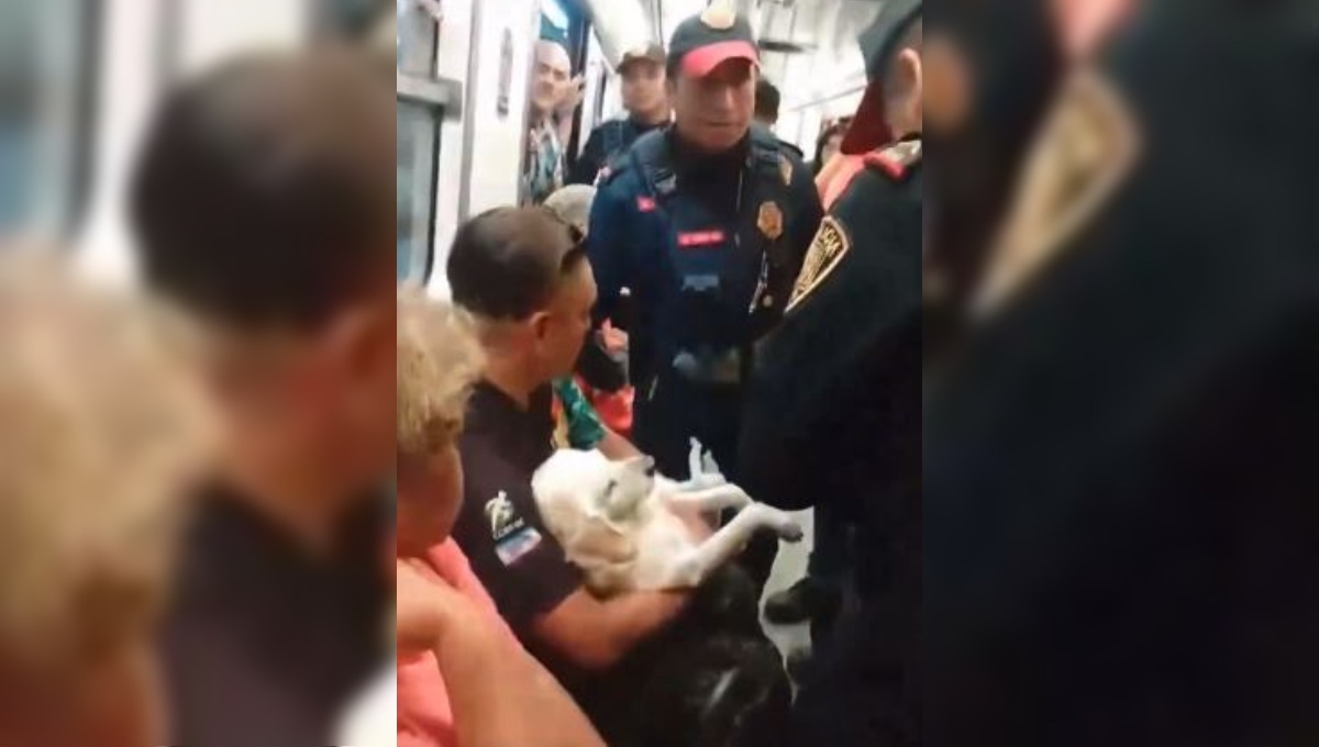 Policías sacan del Metro de la CDMX a un hombre que llevaba a su perro herido: VIDEO