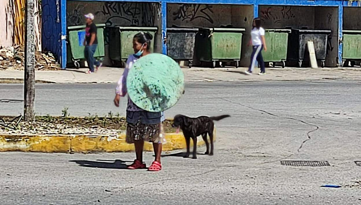 Maltrato animal en Quintana Roo, descontrolado por falta de Centros de Control Animal