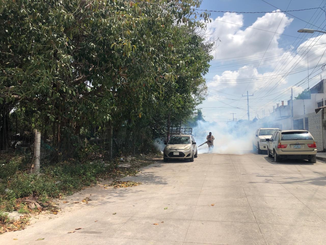 Confirman dos muertes por dengue en Quintana Roo