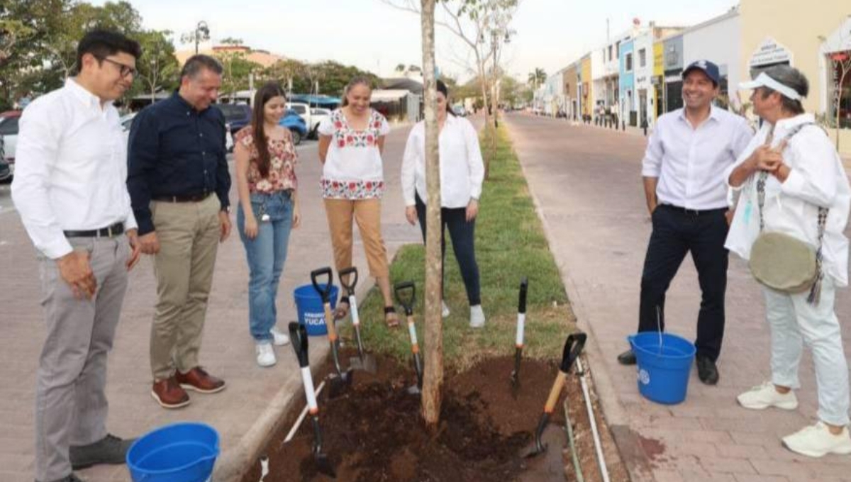 Yucatán rompe récord: Planta el árbol un millón en el Corredor Turístico de Mérida