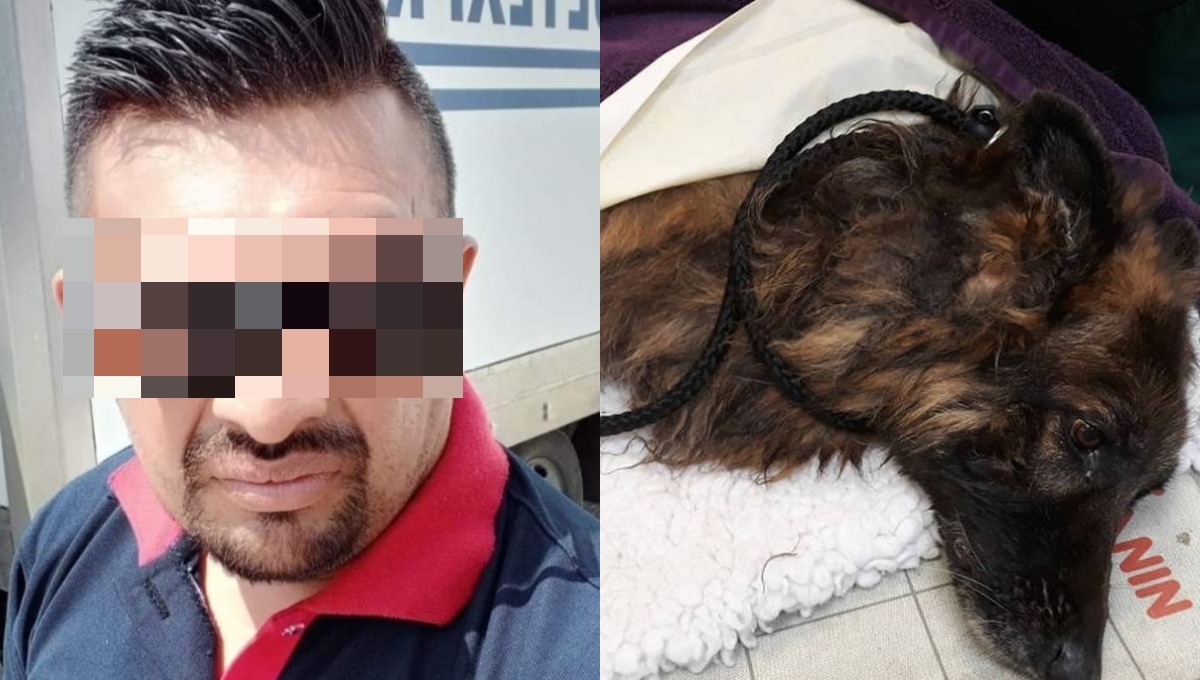 Juez deja en prisión al hombre abusado por mutilarle la pata a un perro en Umán