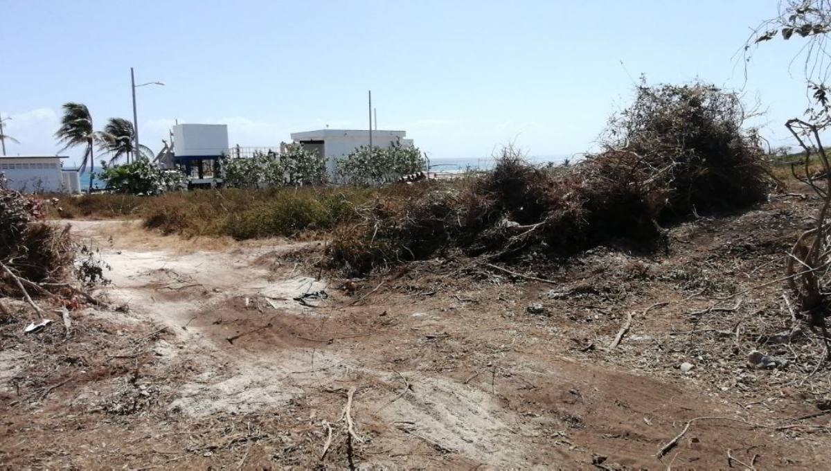 El desarrollo desordenado de Isla Mujeres se debe a la negligencia de las Administraciones Municipales
