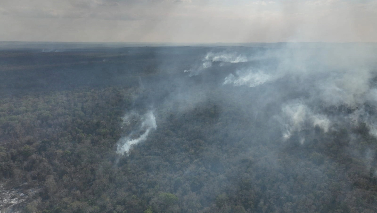 Campeche: Incendio forestal de Chun Ek, controlado en un 58 por ciento