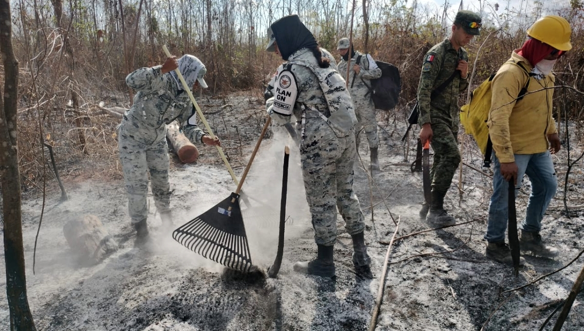 Incendio forestal en Chun Ek: ¿Cuántos combatientes se encuentran en el lugar?