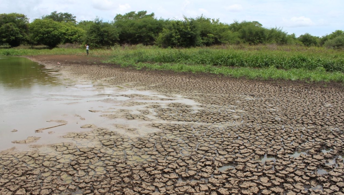 Yucatán enfrenta una situación crítica por falta de lluvias