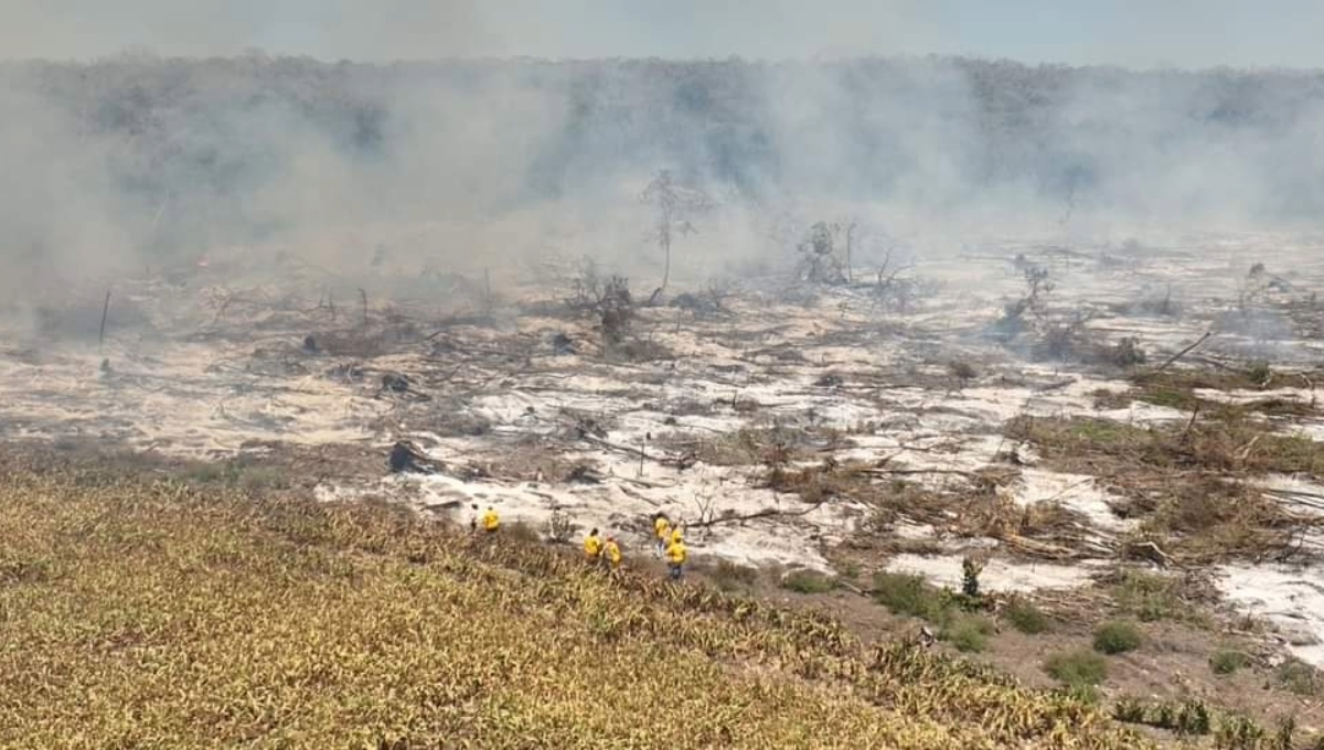Incendio forestal en Chun Ek: aumenta a 2 mil 450 las hectáreas afectadas