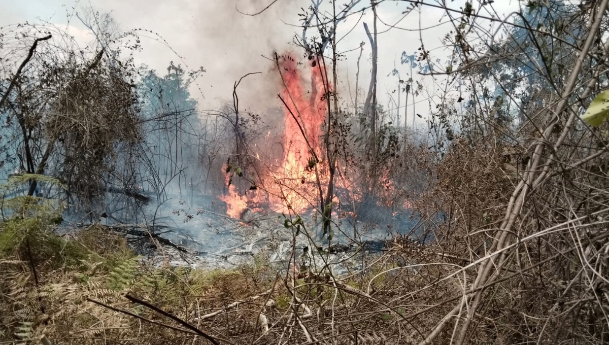 El incendio forestal de Chun Ek fue detectado desde el pasado 15 de abril