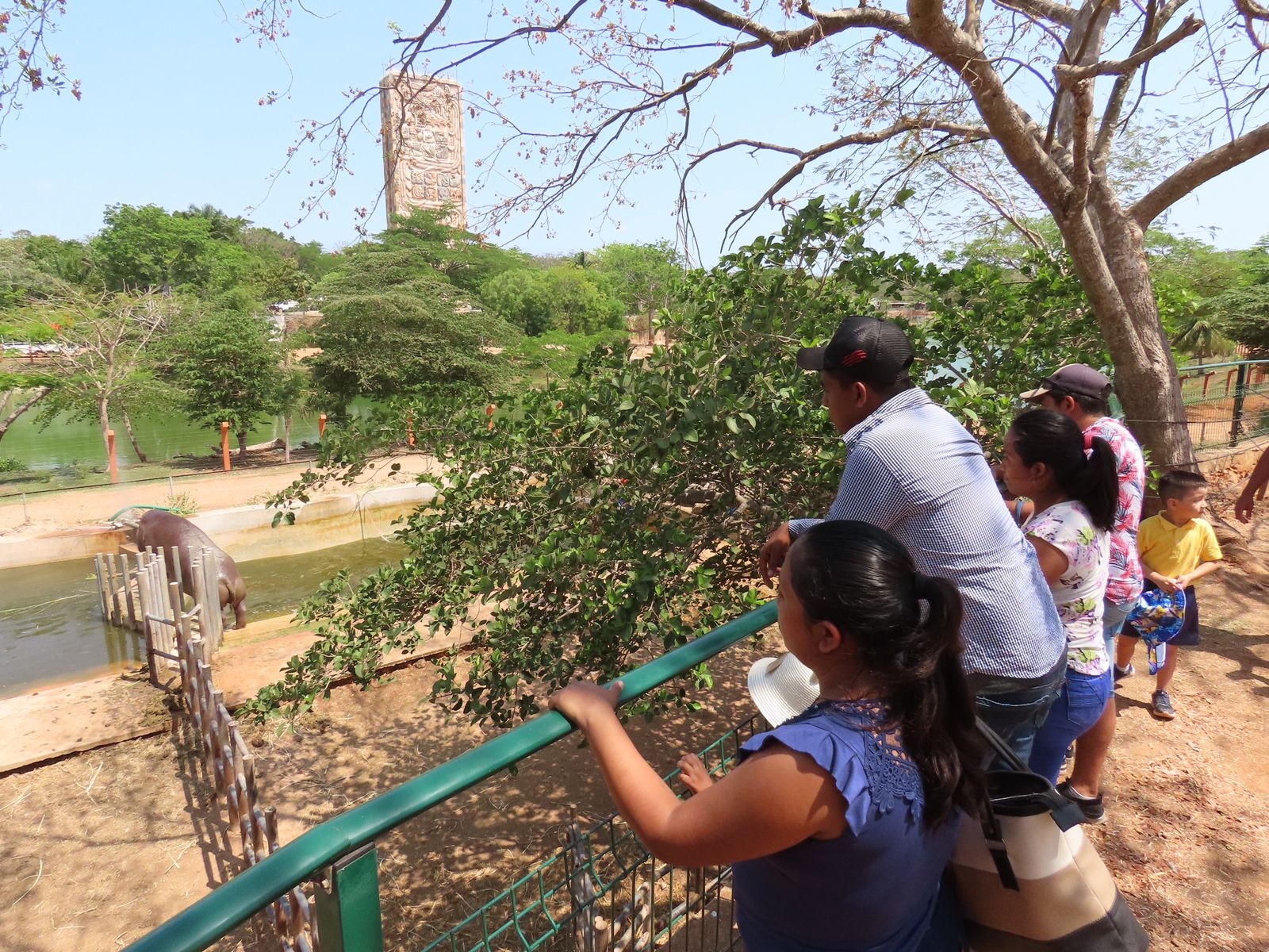 Familias abarrotan el zoológico de Animaya en Mérida en este Día del Niño