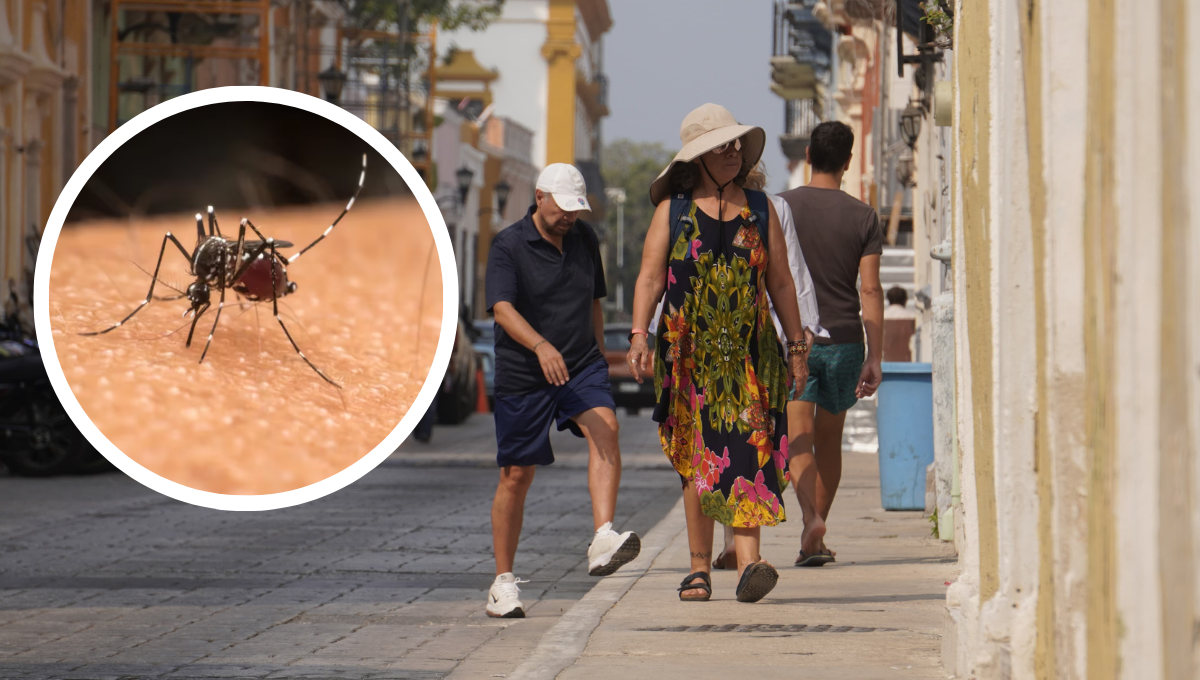 Campeche, la octava entidad con más registro en casos de dengue en México