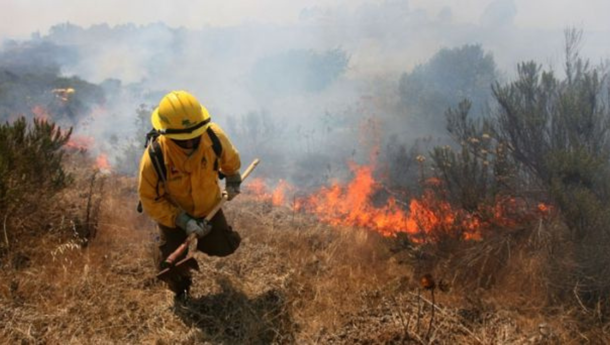 Incendio en Campeche acaba con 62 hectáreas en Hopelchén y Champotón