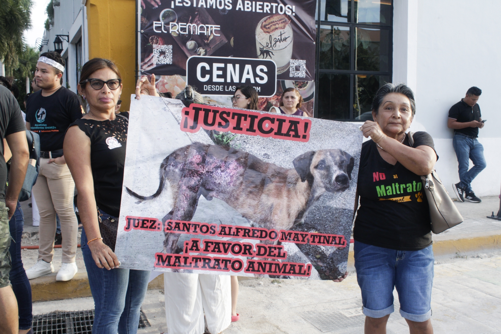 Asociaciones en pro de los animales ejercerán presión en contra del violentador de Negrito en Umán