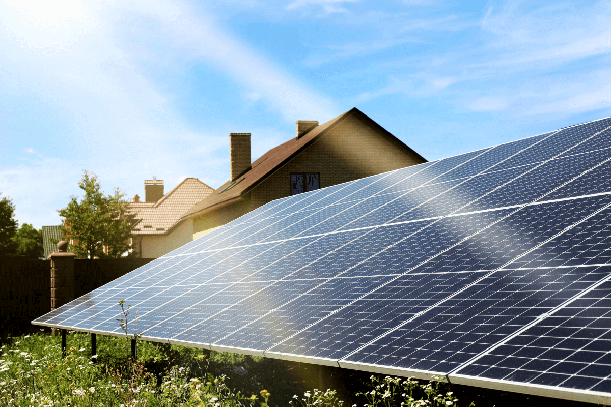 ¿Cómo obtener el panel solar gratis que regala la CFE?