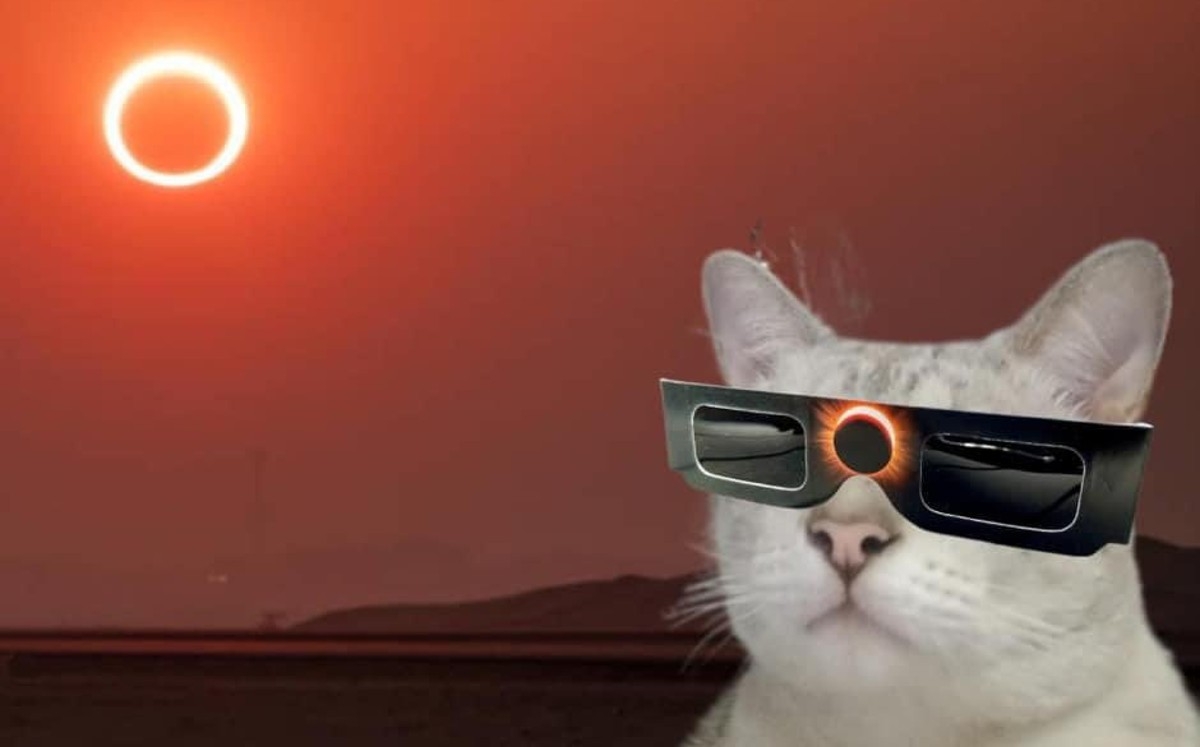Lluvia de los mejores memes del eclipse solar 2024