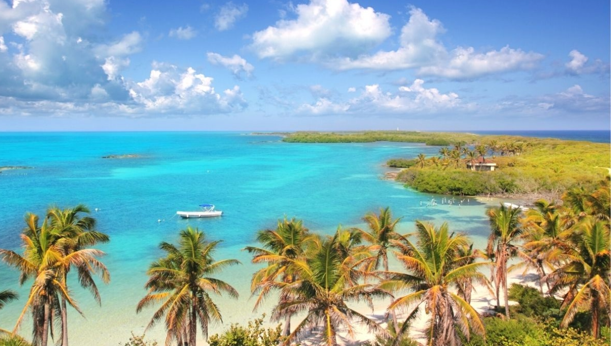 Para llegar a Isla Contoy, la opción más común es tomar un tour en barco desde Cancún o Isla Mujeres