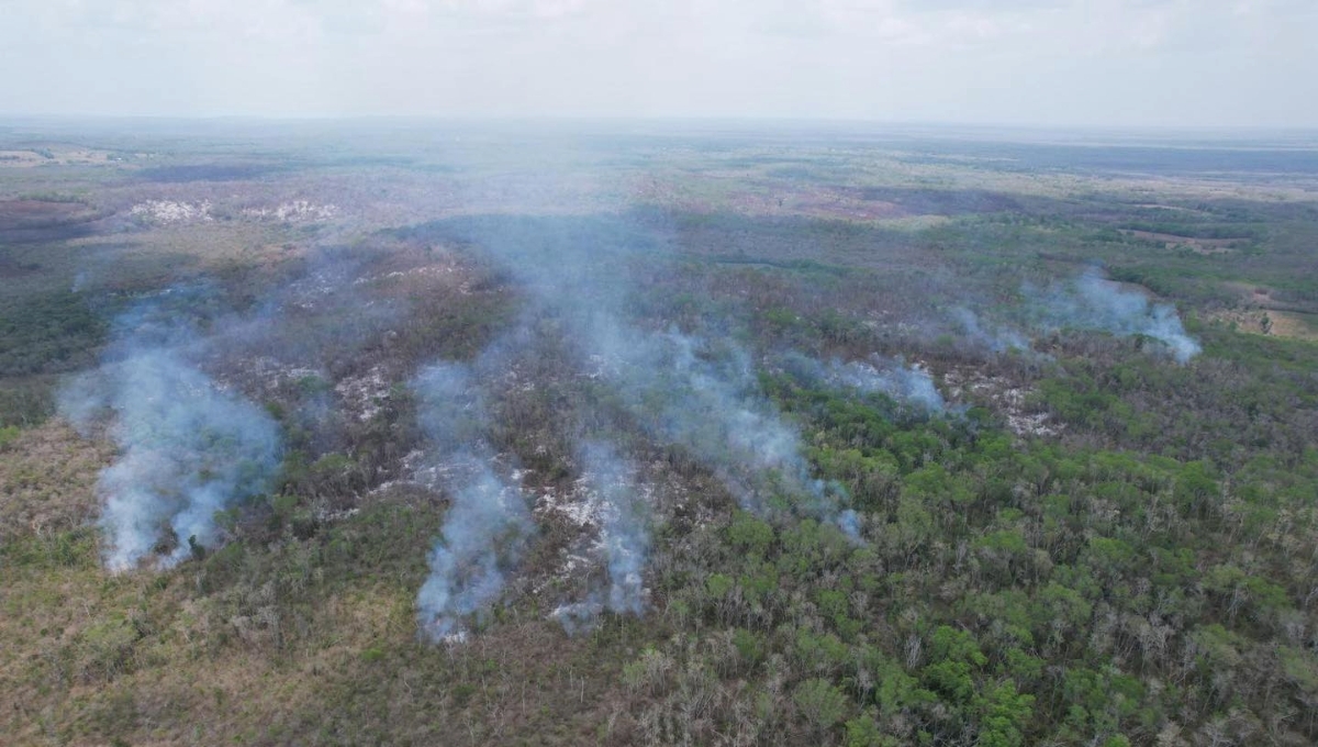 Secretaría de Medio Ambiente detecta un segundo incendio forestal en Hopelchén, Campeche