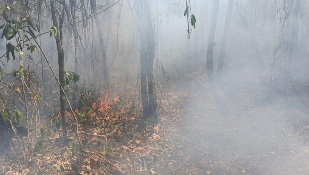Fue activado el Equipo Estatal de Manejo de Incidentes, con el fin de sumar esfuerzos para atender el incendio foresta