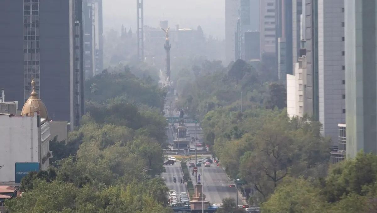 Niveles de contaminación en Valle de México no ceden y se mantiene Fase 1 de contingencia ambiental
