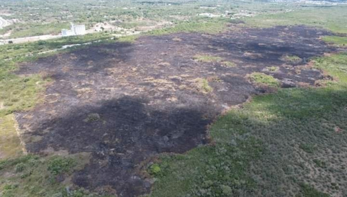 Secretaría de Medio Ambiente reporta dos incendios forestales activos y uno liquidado en Campeche
