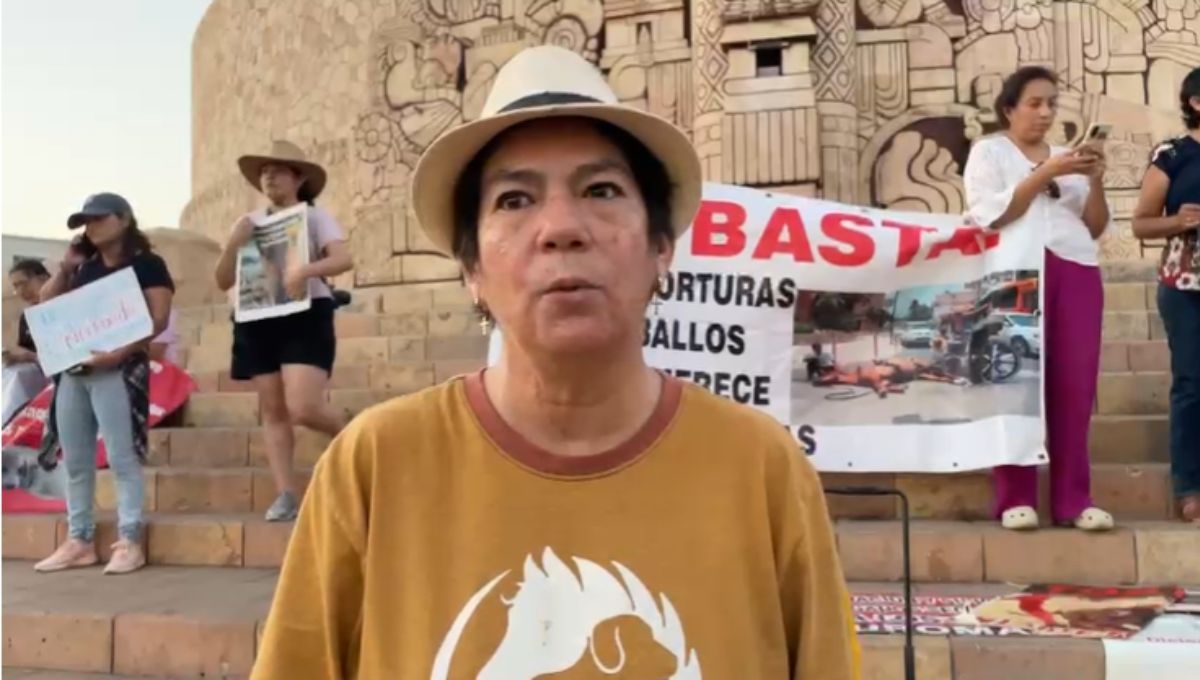 Animalistas retan a Renán Barrera Concha a darles la cara