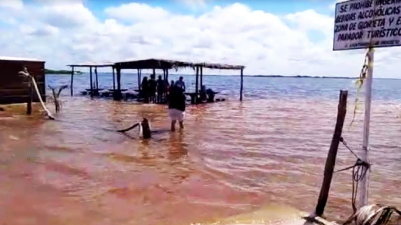 Reserva de Chelem ofrece paseos turísticos sin importar la inundación