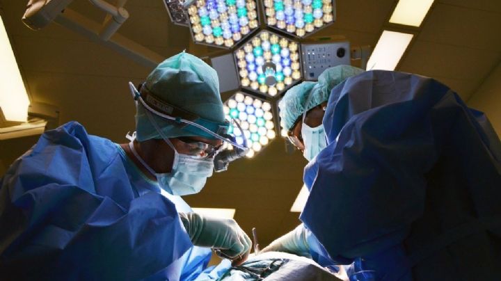 Día Mundial de la Donación de Órganos: la pandemia que también frenó los trasplantes
