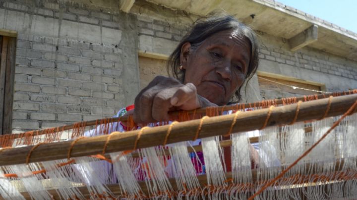Más del 70% de las mujeres rurales en Yucatán sufren violencia de género: Investigadora